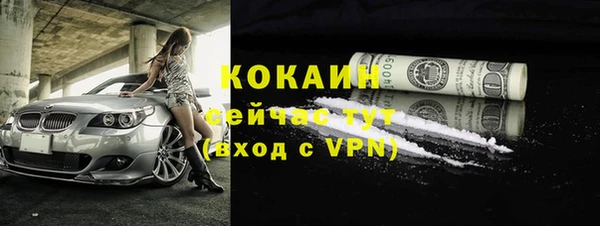 гашик Белоозёрский