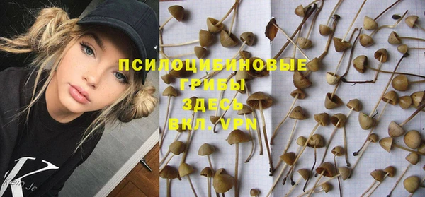 гашик Белоозёрский