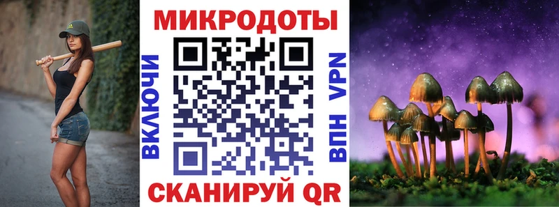 Галлюциногенные грибы Cubensis где купить Высоковск